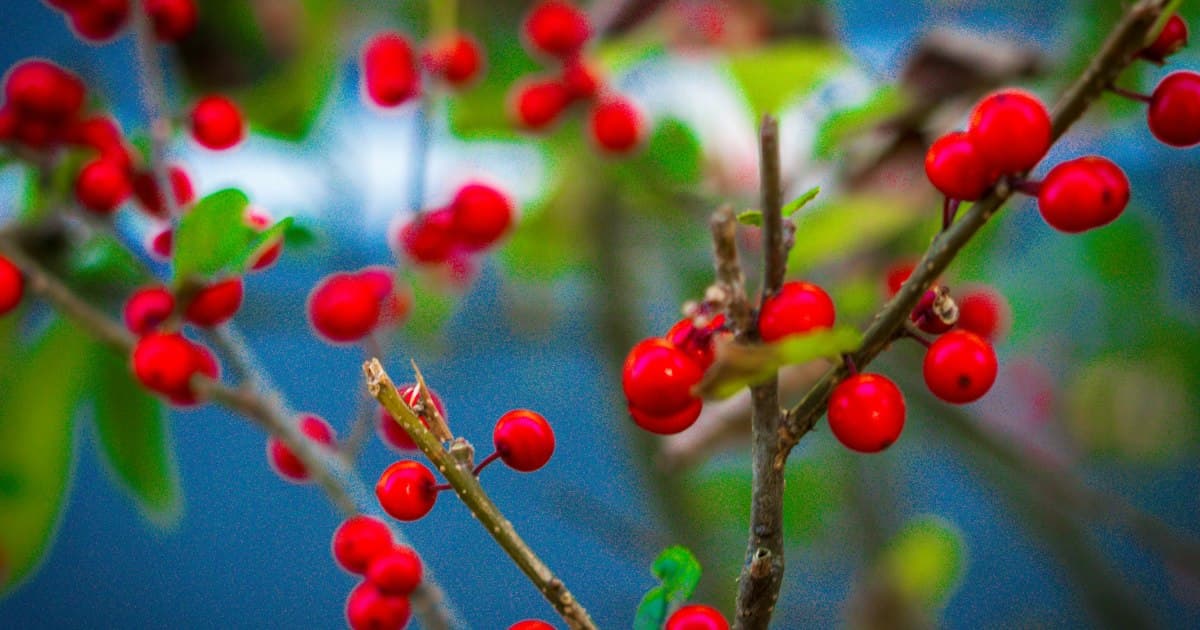 Study Links Seasonal Changes to Increased Fatigue in Older Adults, Raising Concerns for High-Stress Professions