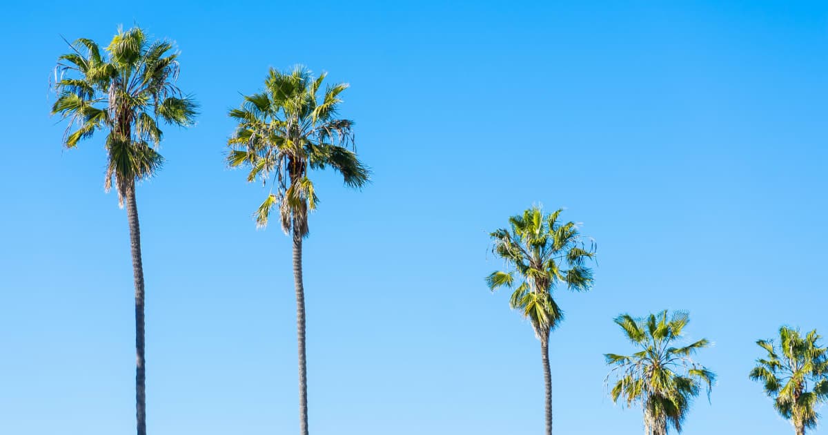 Covered California Announces Key Updates for 2025 Enrollment