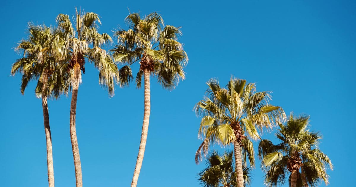 Covered California Announces Enrollment Updates, Focuses on Affordability and Outreach