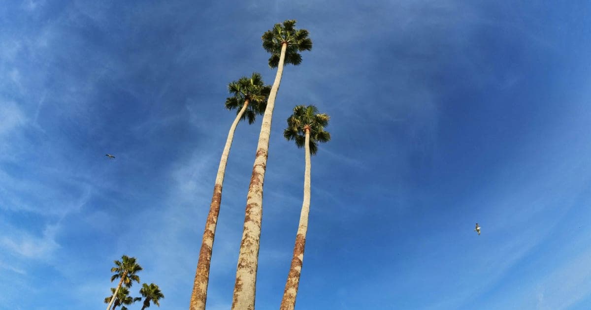 Covered California Announces Key Updates for 2025 Enrollment, Aiming for Broader Access and Lower Costs