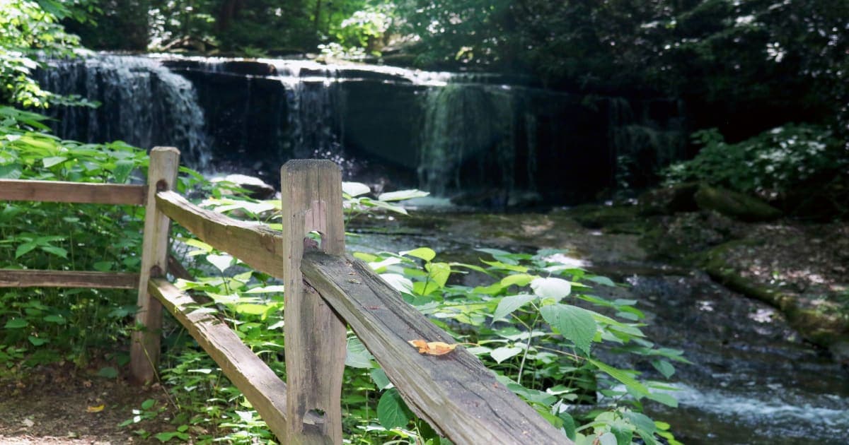 Forest Park Falls to North Dickinson in Showcase Showdown