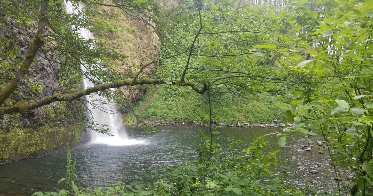 Forest Park Falls to Carney-Nadeau in Showcase Thriller, 52-49