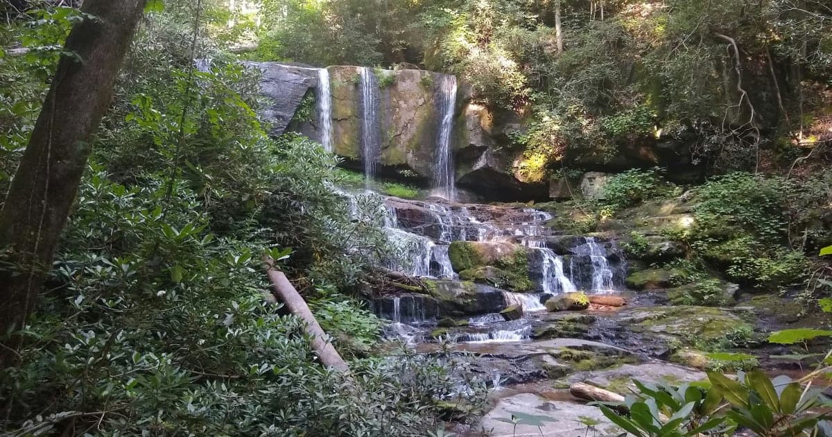 Forest Park Falls to Carney-Nadeau in Showcase Showdown, 52-48