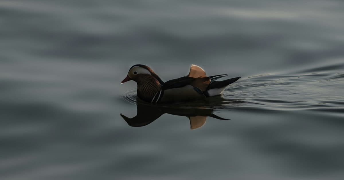 Senator Thune Floats Bipartisan Healthcare Compromise, Eyes Coverage and Cost Control