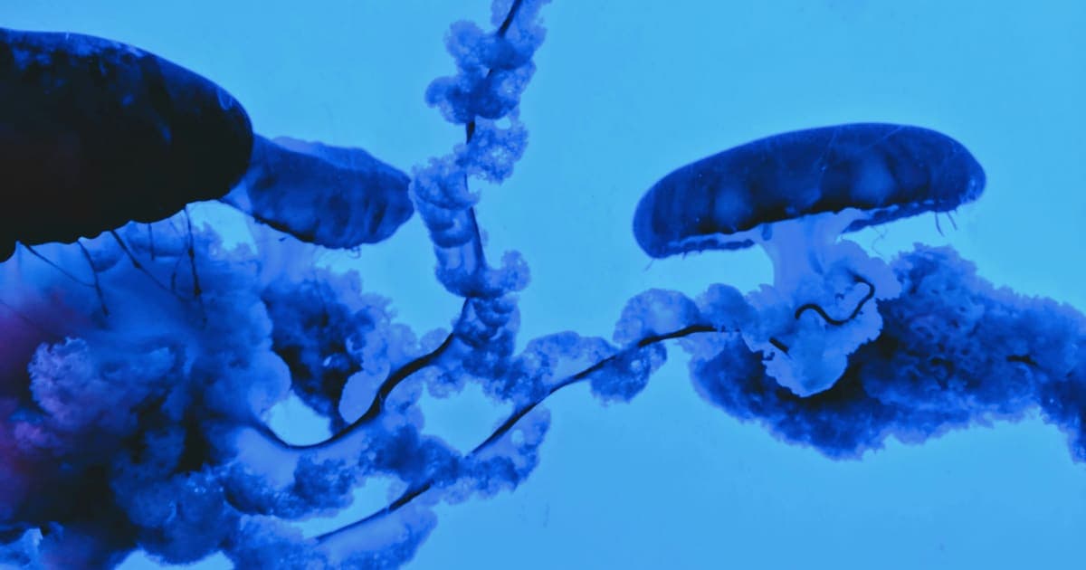 Mitochondrial Replacement Therapy: A Scientific Breakthrough Faces Ethical Scrutiny