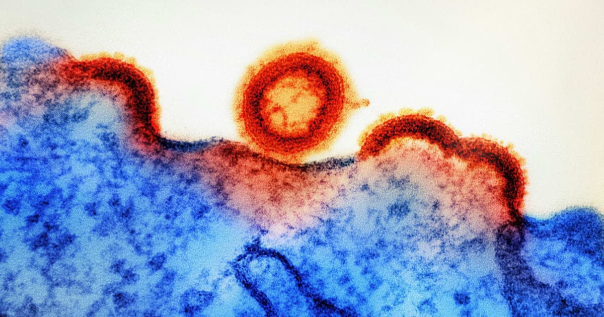 Groundbreaking Mitochondrial Replacement Therapy Sparks Ethical Debate in US Scientific Community