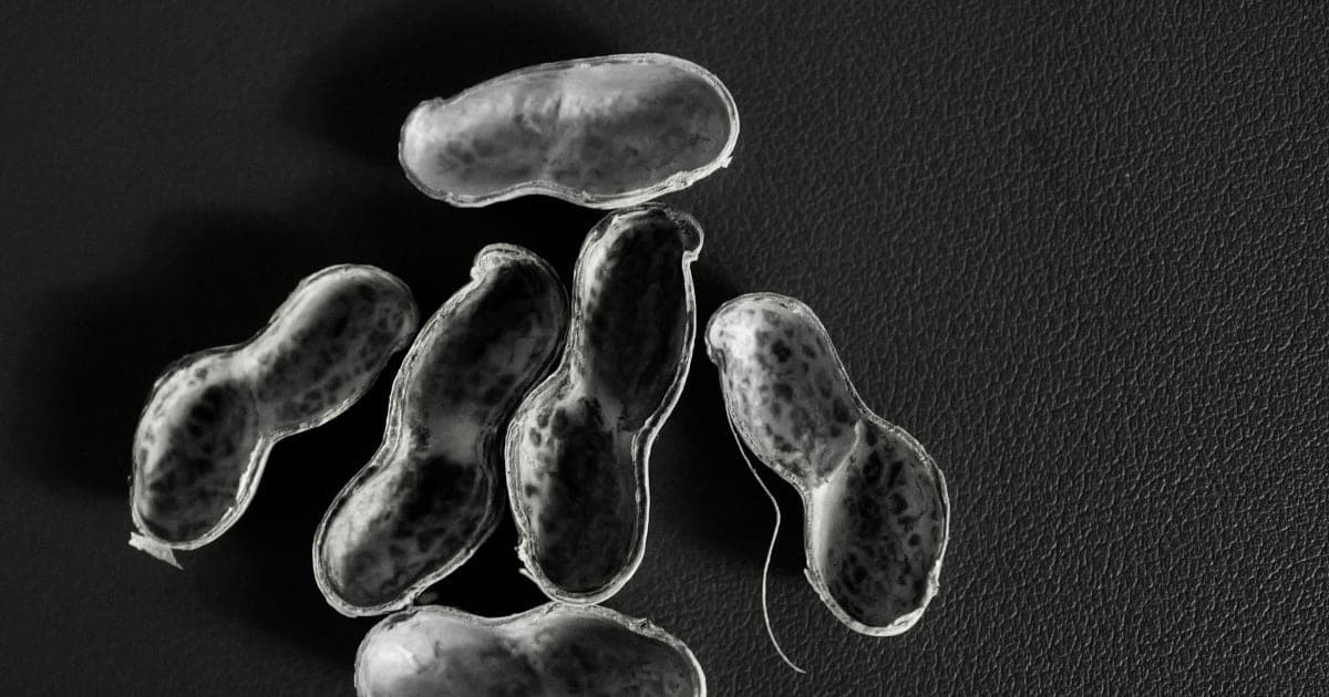 Mitochondrial Replacement Therapy Sparks Ethical Debate Amidst Scientific Progress