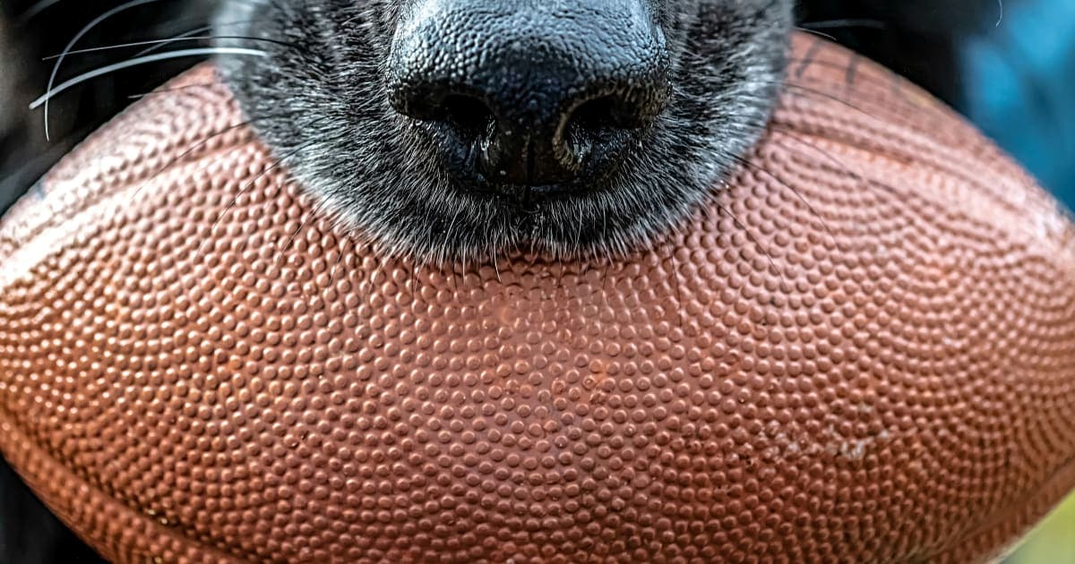 Steelers' Offseason Overhaul: New Offensive Coordinator, Draft Strategy Take Center Stage