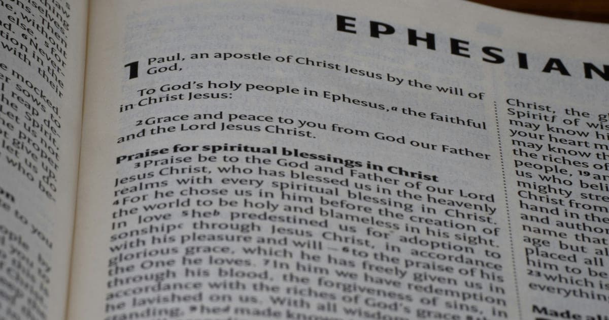 Fallout From Epstein Documents Intensifies Political Scrutiny; Greene Among Those Mentioned