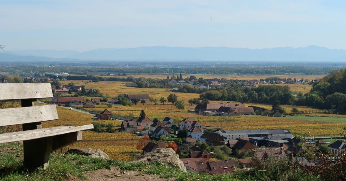 Napa Valley Wine Sales Face Headwinds as Consumer Tastes Shift and Economy Cools