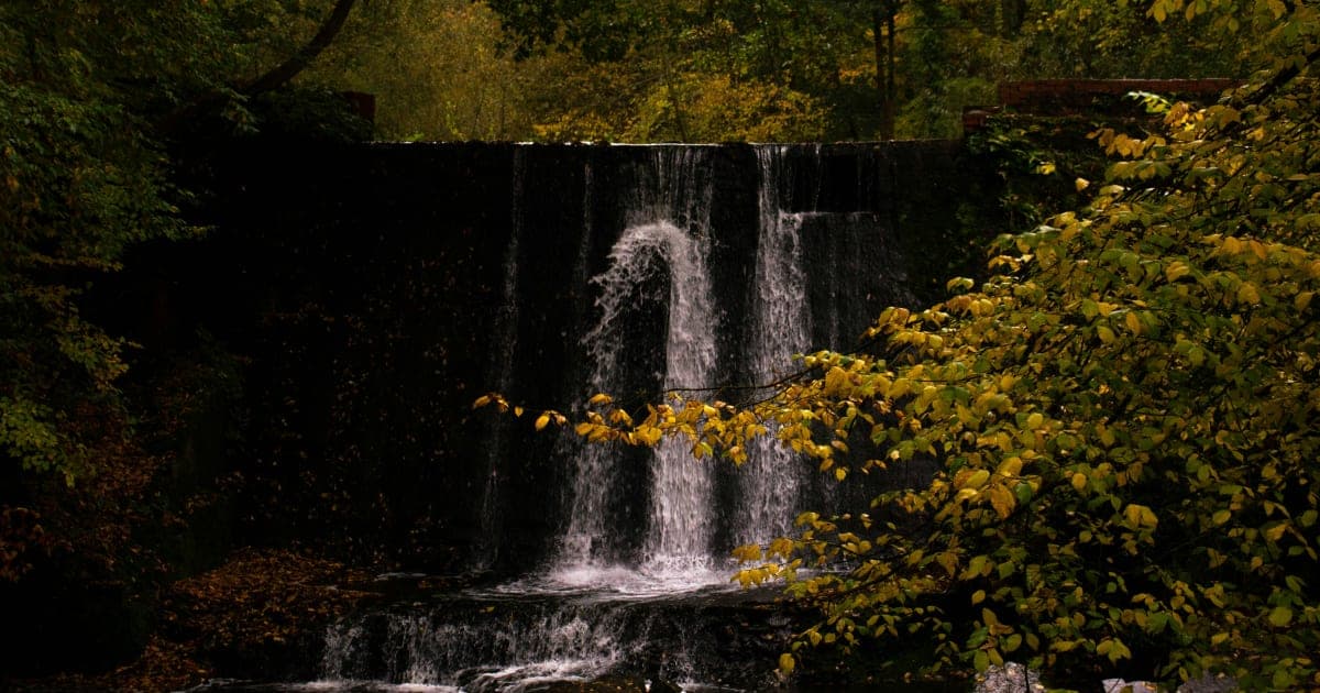 Forest Park Falls to North Dickinson in Showcase Thriller, 52-48