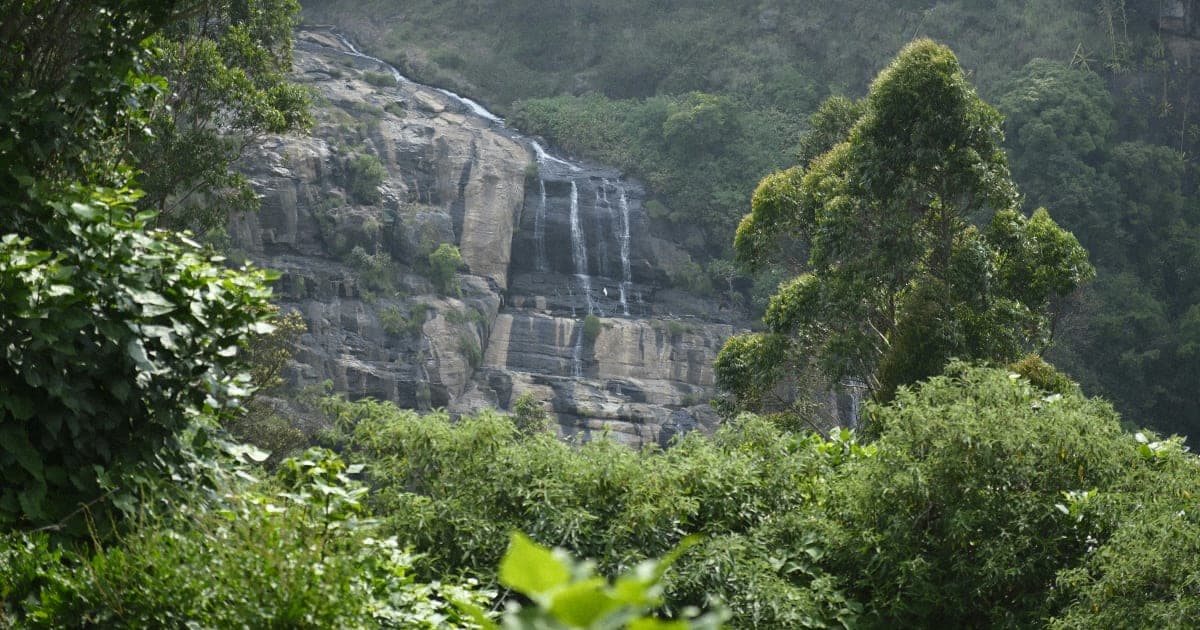 Forest Park Falls to North Dickinson in Showcase Showdown