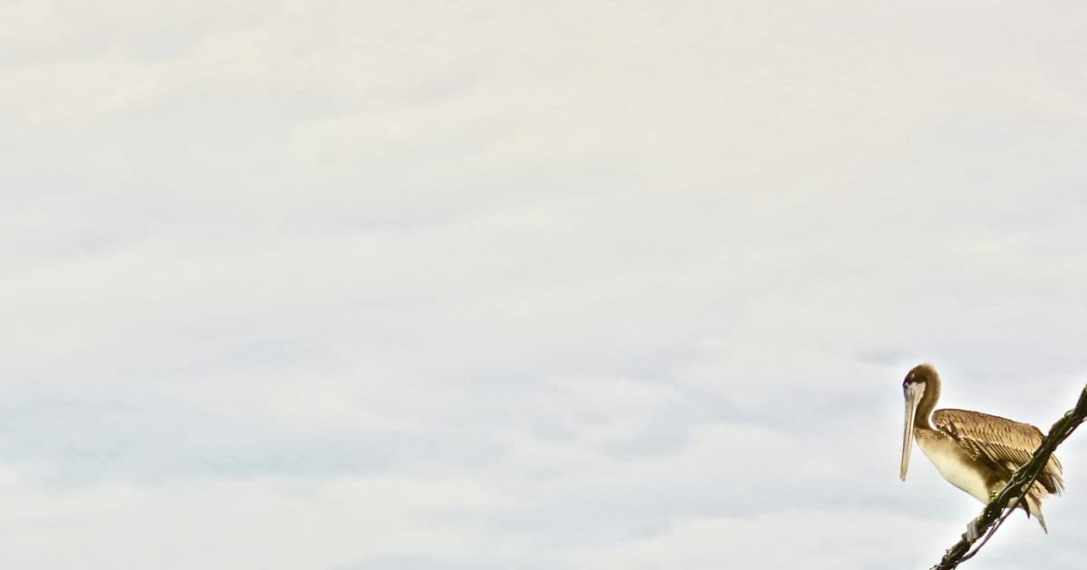 Under Pressure to Enlist: Marine Recruiters Admit to Falsifying Documents to Meet Quotas